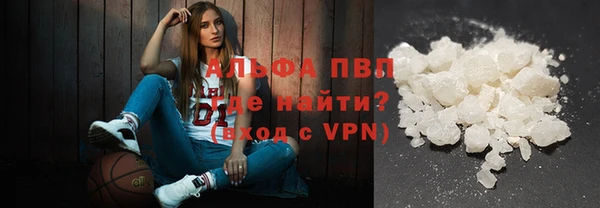PSILOCYBIN Алзамай