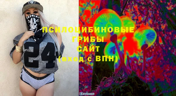PSILOCYBIN Алзамай