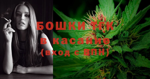 PSILOCYBIN Алзамай