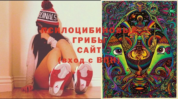 PSILOCYBIN Алзамай