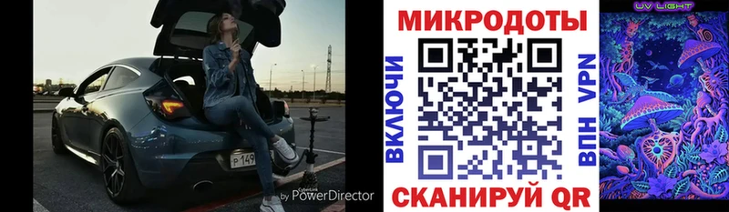 Галлюциногенные грибы MAGIC MUSHROOMS  Купить закладки  Терек 
